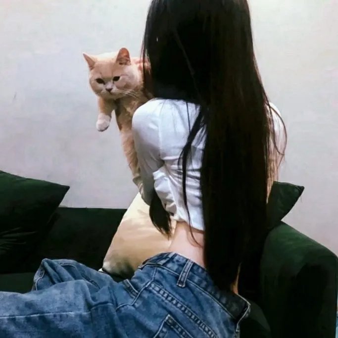 潜能探案组第二季